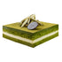 Matcha Cake by Dylan Patisserie