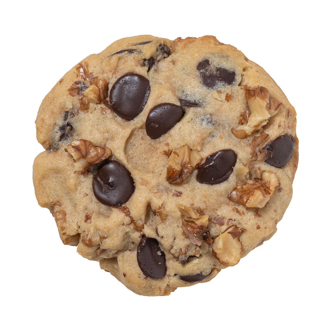 Choco Chunk Cookie