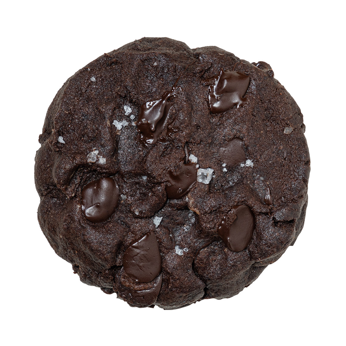Double Chocolate Chunk Cookie