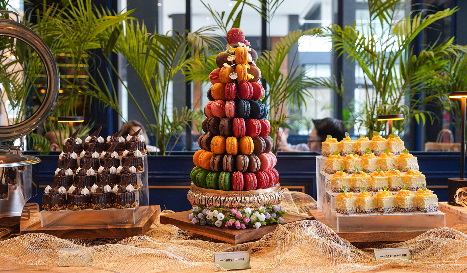 Macarons and mini cakes